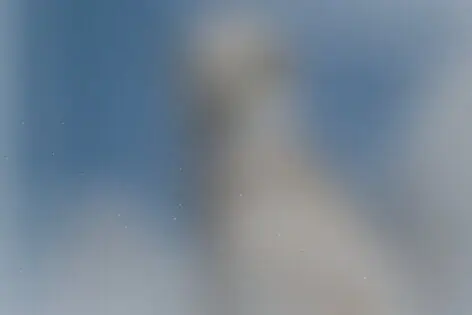 Квест «Гарри» от Magic